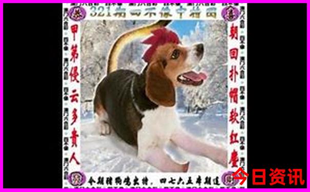 云南高铁游玩最佳路线